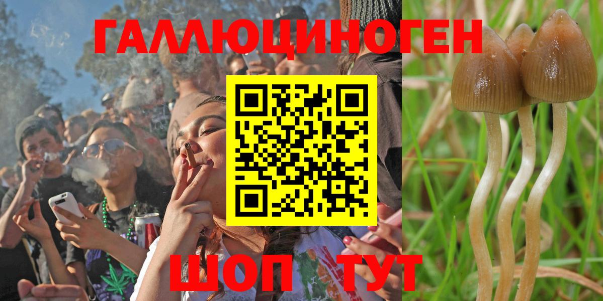 Псилоцибиновые грибы GOLDEN TEACHER  Вход с VPN  Алатырь  где продают наркотики  Псилоцибиновые грибы мицелий 